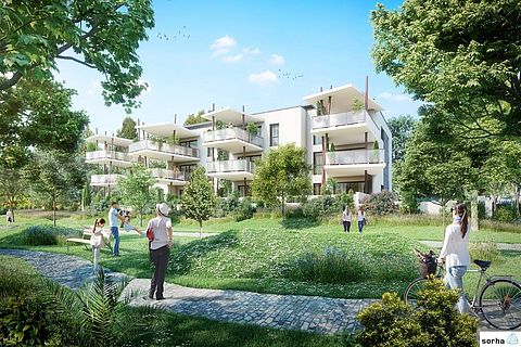 image du projet